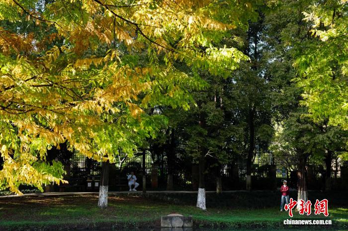 昆明の初冬の溫もりを満喫する人々　雲(yún)南省