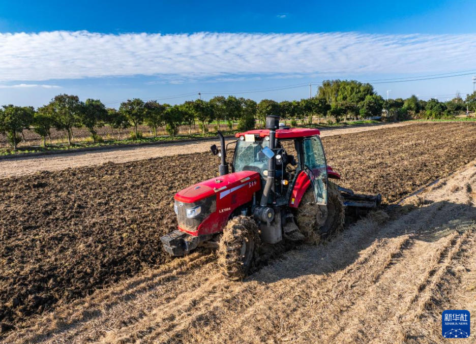 中國(guó)全土における冬小麥の播種が約7割完了