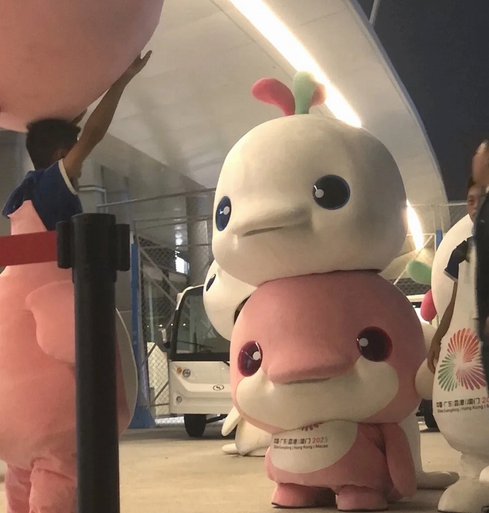 （寫真提供?鵝坡武術(shù)微信＜WeChat＞公式アカウント ）