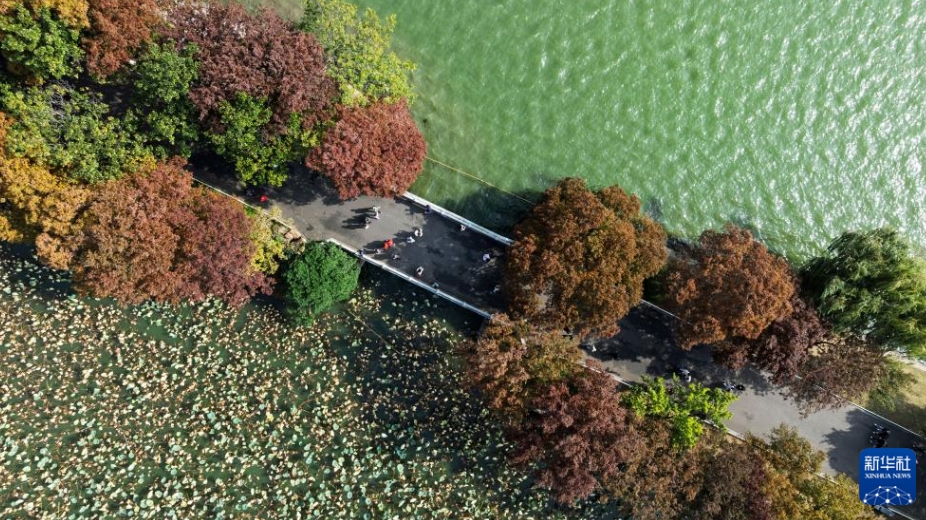 ドローンがとらえた初冬の美しい景色