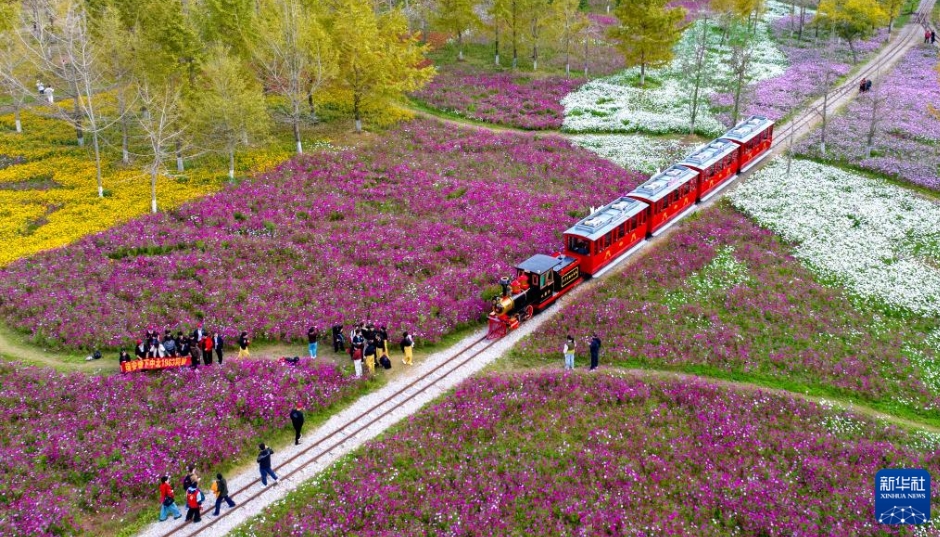 ドローンがとらえた初冬の美しい景色