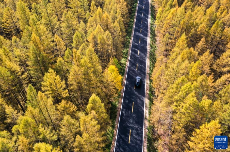 沿道の発展を促す「國境の道路」G331號線