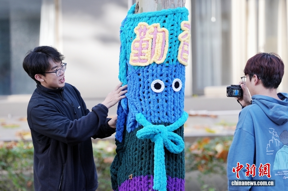 北京國際関係學(xué)院のキャンパス內(nèi)にある「セーターを著た木」に觸れる學(xué)生（11月12日撮影?張祥毅）。