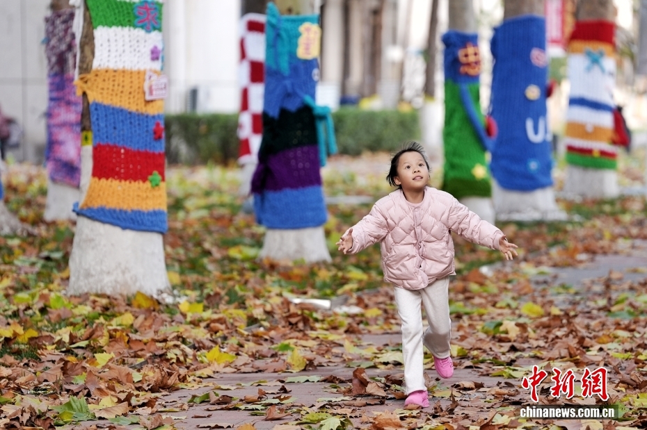 大學キャンパスに「セーターを著た木」が登場　北京