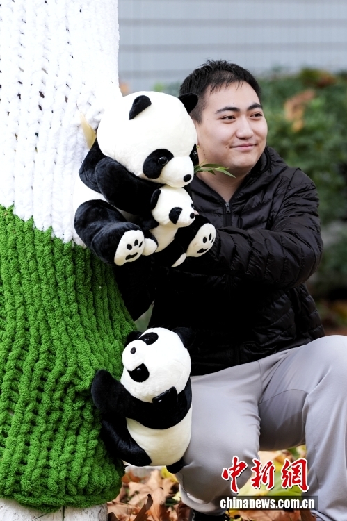 大學キャンパスに「セーターを著た木」が登場　北京