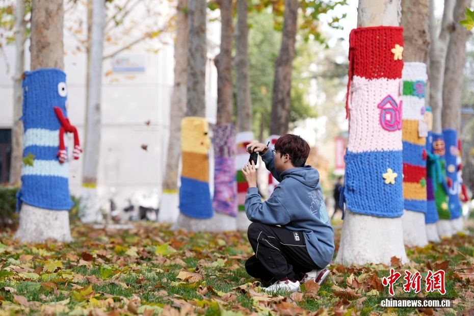 大學(xué)キャンパスに「セーターを著た木」が登場(chǎng)　北京