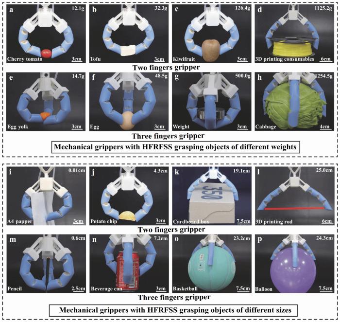 中國地質大學（武漢）の研究チームによって開発されたヒト型指は、超薄?超脆弱な物體の把持に適用可能であり、裝著された把持裝置は重量?硬度?形狀?サイズの異なる物體をつかむことができる。（畫像提供·研究チーム）