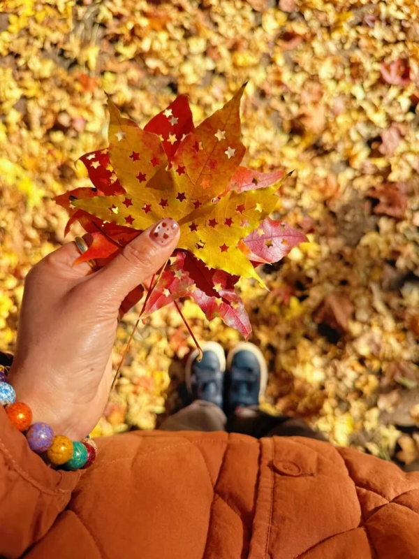 穴あけパンチで星の形の穴を開けた落ち葉（畫像は「Judy_ao」から）