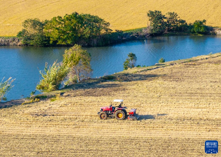 江蘇省興化市陳堡鎮(zhèn)蔣荘村の畑で、播種機を運転して冬小麥を播種する農(nóng)家（11月19日、ドローンによる撮影?周社根）