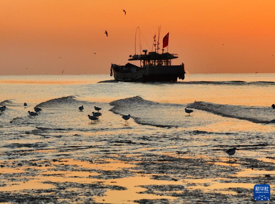 「冬のビューティーモード」中國各地に広がる初冬の絶景