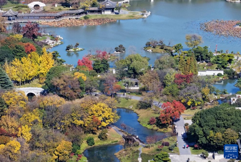 「冬のビューティーモード」中國各地に広がる初冬の絶景
