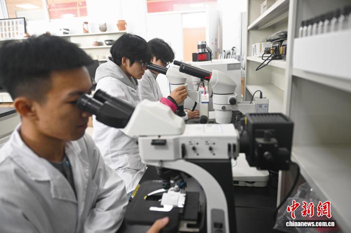 「文化財のお醫(yī)者さん」を育成　甘粛省