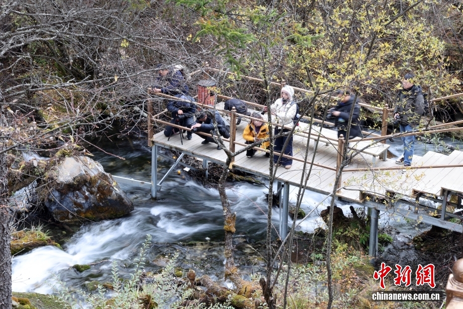 絵のように美しい松坪溝の冬景色　四川省茂県