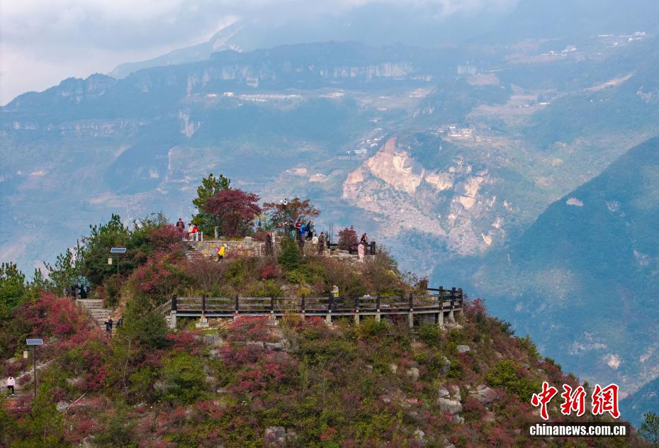 長江巫峽の両岸を彩る鮮やかな紅葉　重慶市巫山