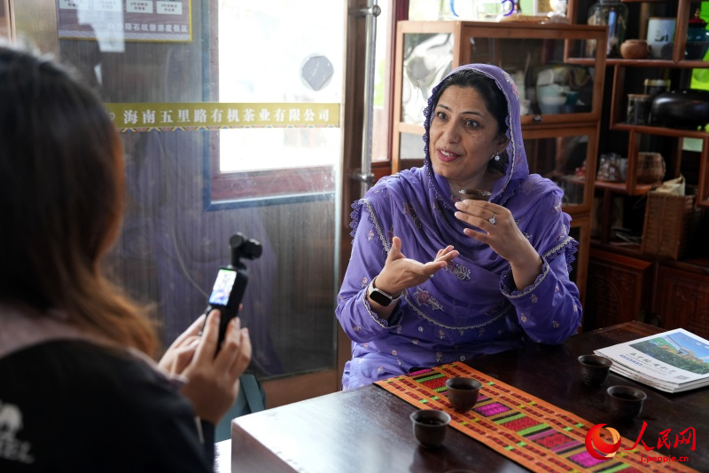 海南省白沙の有機(jī)栽培茶園の茶文化が外國(guó)人専門家を魅了