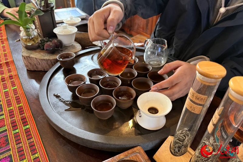 海南省白沙の有機(jī)栽培茶園の茶文化が外國(guó)人専門(mén)家を魅了