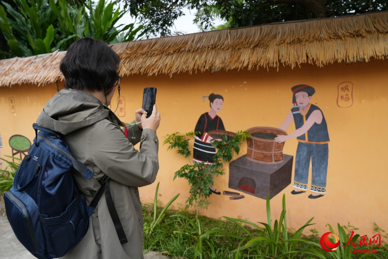 海南省白沙の有機栽培茶園の茶文化が外國人専門家を魅了