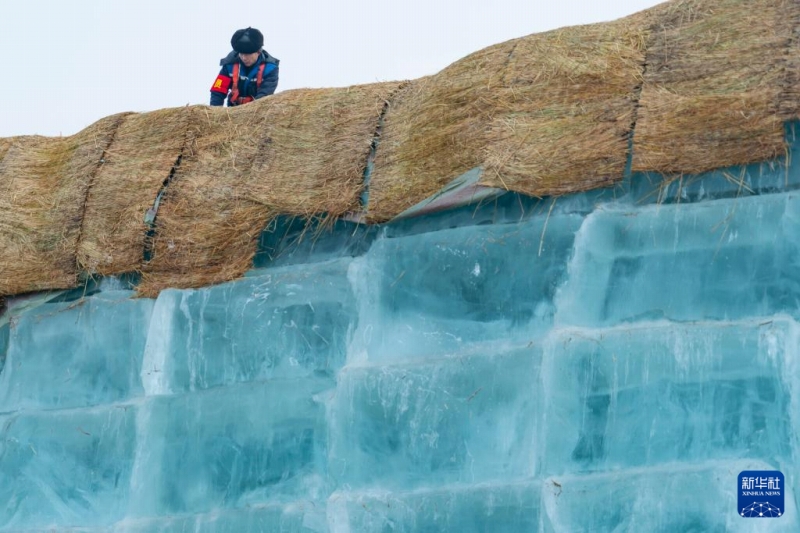 「哈爾浜氷雪大世界」設(shè)営のための貯蔵氷20萬立方メートルの移送開始