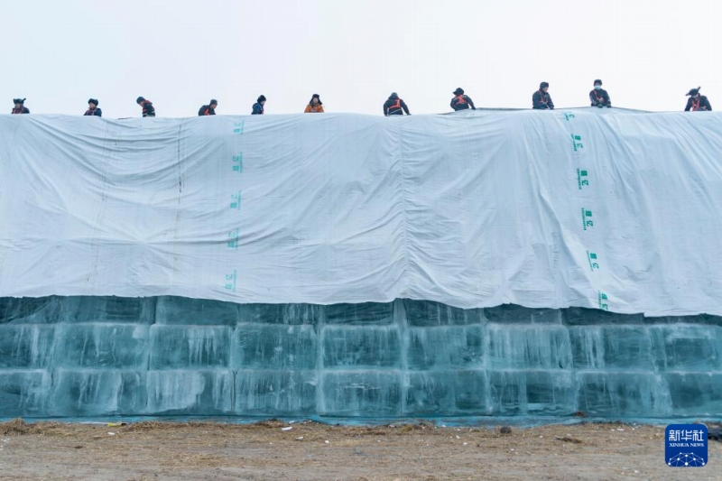 「哈爾浜氷雪大世界」設(shè)営のための貯蔵氷20萬立方メートルの移送開始