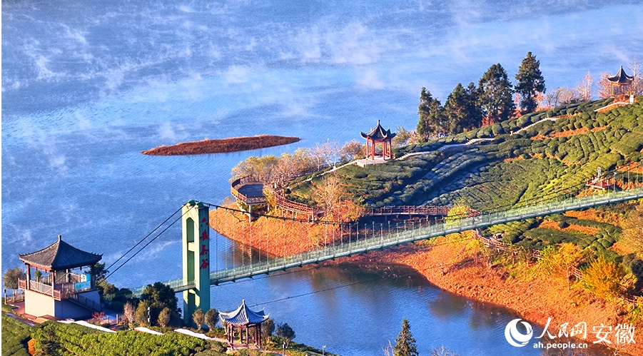 朝霧が織りなす絶景広がる西茶谷　安徽省金寨