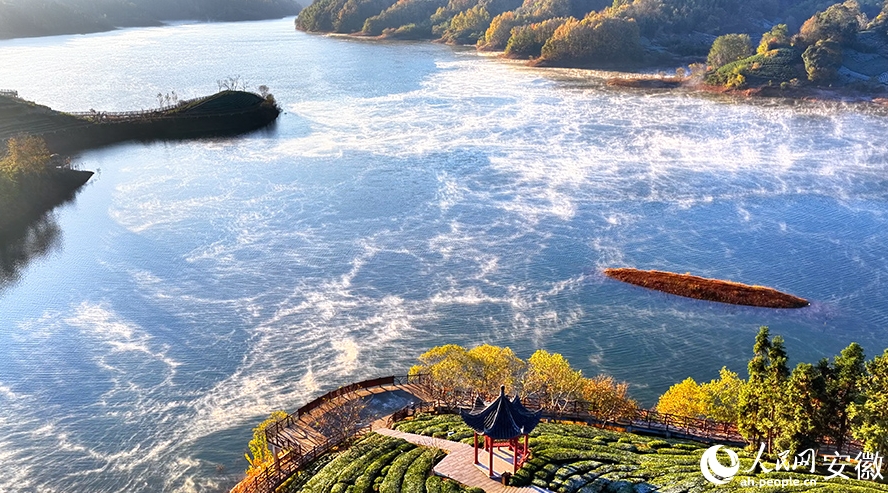 朝霧が織りなす絶景広がる西茶谷　安徽省金寨