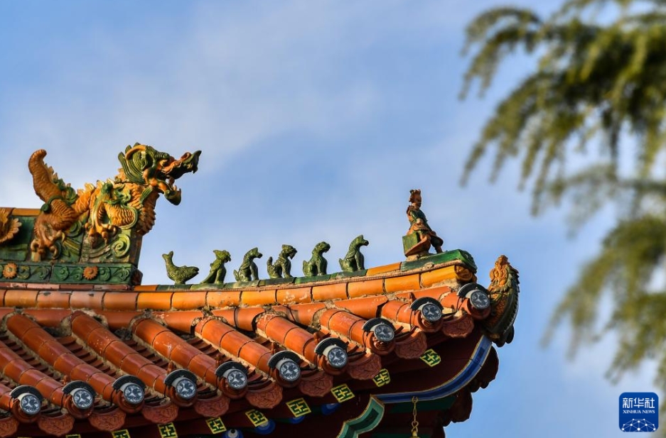 歴史的建造物の屋根に住む「瑞獣」たち　山西省