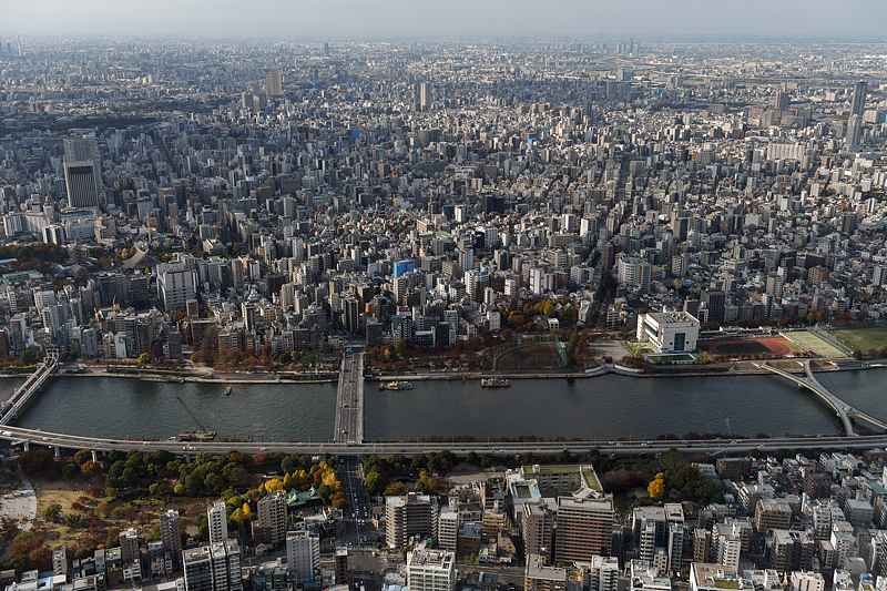 （畫像著作権はCFP視覚中國所有のため転載禁止）