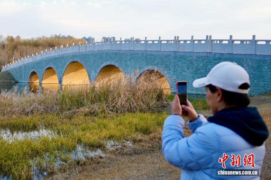 冬の鄭州に「光のトンネル」の景観現(xiàn)る　河南省