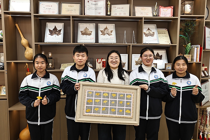 美術(shù)教師が落ち葉に彫刻、千年銀杏の葉に新たな息吹　山東省日照市