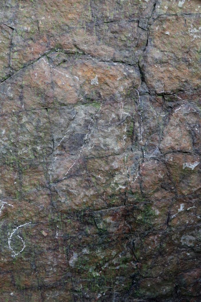 巖壁に殘されたキロテリウム類(lèi)の足跡。（畫(huà)像提供：取材先）