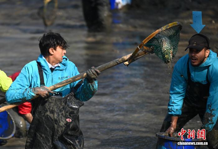 養(yǎng)魚(yú)池に入って魚(yú)を捕まえる外國(guó)人観光客（12月6日撮影?王剛）。
