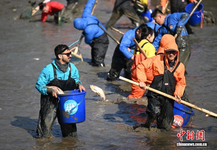 泥まみれで魚を捕まえる西渓濕地の「干塘節(jié)」開催　浙江省杭州