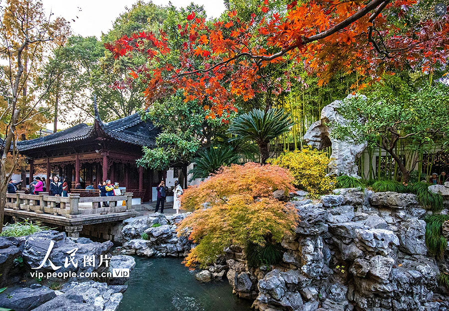 カラフルな秋の豫園（撮影?黃永慶/寫(xiě)真著作権は人民図片が所有のため転載禁止）。