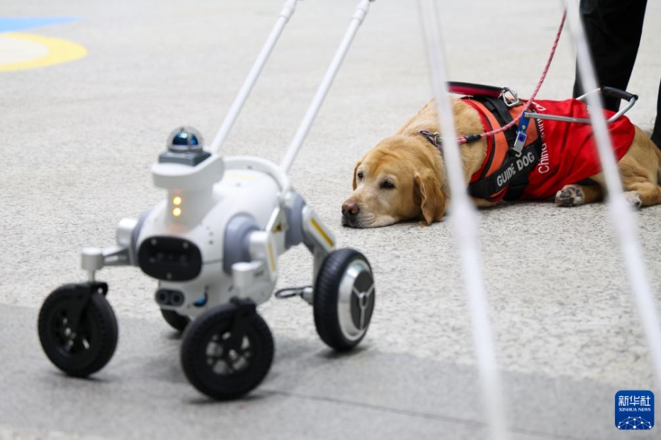 深セン地下鉄でスマート盲導(dǎo)犬のテスト運用スタート　広東省