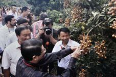 䛷ߤXͻϞĤ˻äɽ