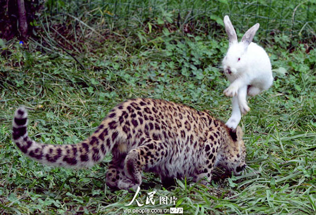 ư񾎤ǥ餱ȥ饤λҤɤ