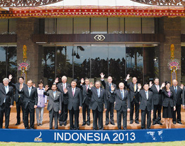 {ʤAPECǥΤΥͥƥӥƥӲˤĤiB