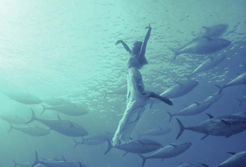 ܤΥ󥯥(lin)}L(zhng)Ǥ^e