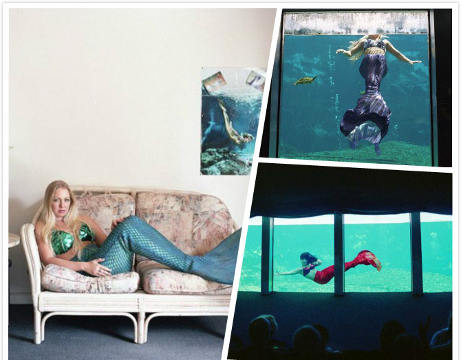 上海で日本の蕓術(shù)家、草間彌生の作品展