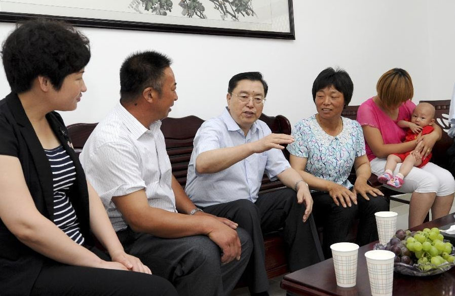 張徳江氏が江蘇省大豊市で視察