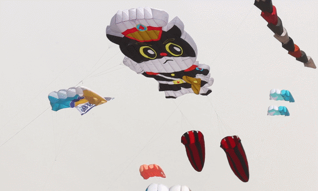 アニメキャラ?黒貓警部が空からパトロール。