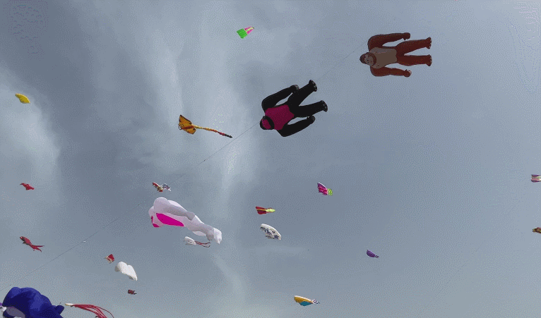 空を飛ぶゴリラたち。