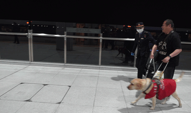 「ストレートゴー（まっすぐ進(jìn)め）」の指示を聞くと、肖さんを安全に歩けるよう誘導(dǎo)する丸子。