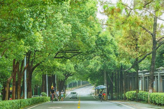 2021年の「武漢で最も美しい街路樹(shù)のある道路」に選ばれた東湖景勝地の植物園路（撮影?劉帥）。