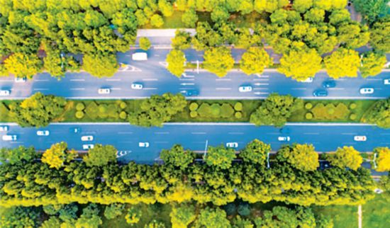 武漢市江漢區(qū)の青年路。