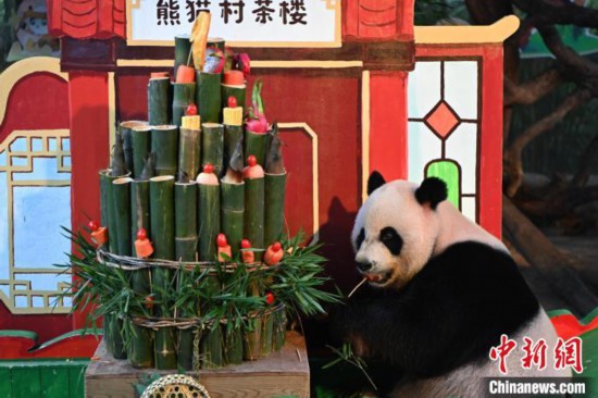 三つ子パンダの2番目でオスの「帥帥」。撮影?陳驥旻