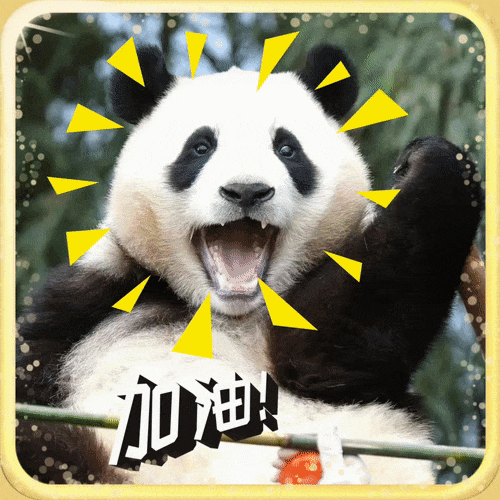 福寶（フーバオ）。居住地：韓國ソウル市