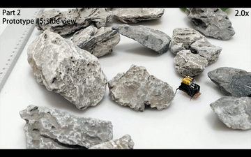 北京航空航天大學(xué)の科學(xué)研究チームが研究開発した超小型昆蟲ロボットの歩行。（畫像提供は取材先）