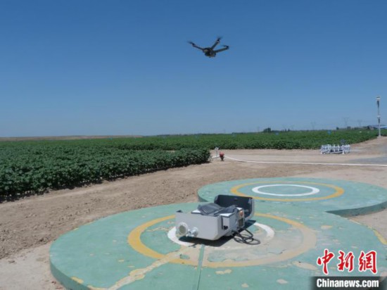 新疆石河子市の綿花畑で28日、作物の生育狀況をリモートセンシングでモニタリングするドローンが巡回を終え、帰還した様子。 撮影?趙婧姝